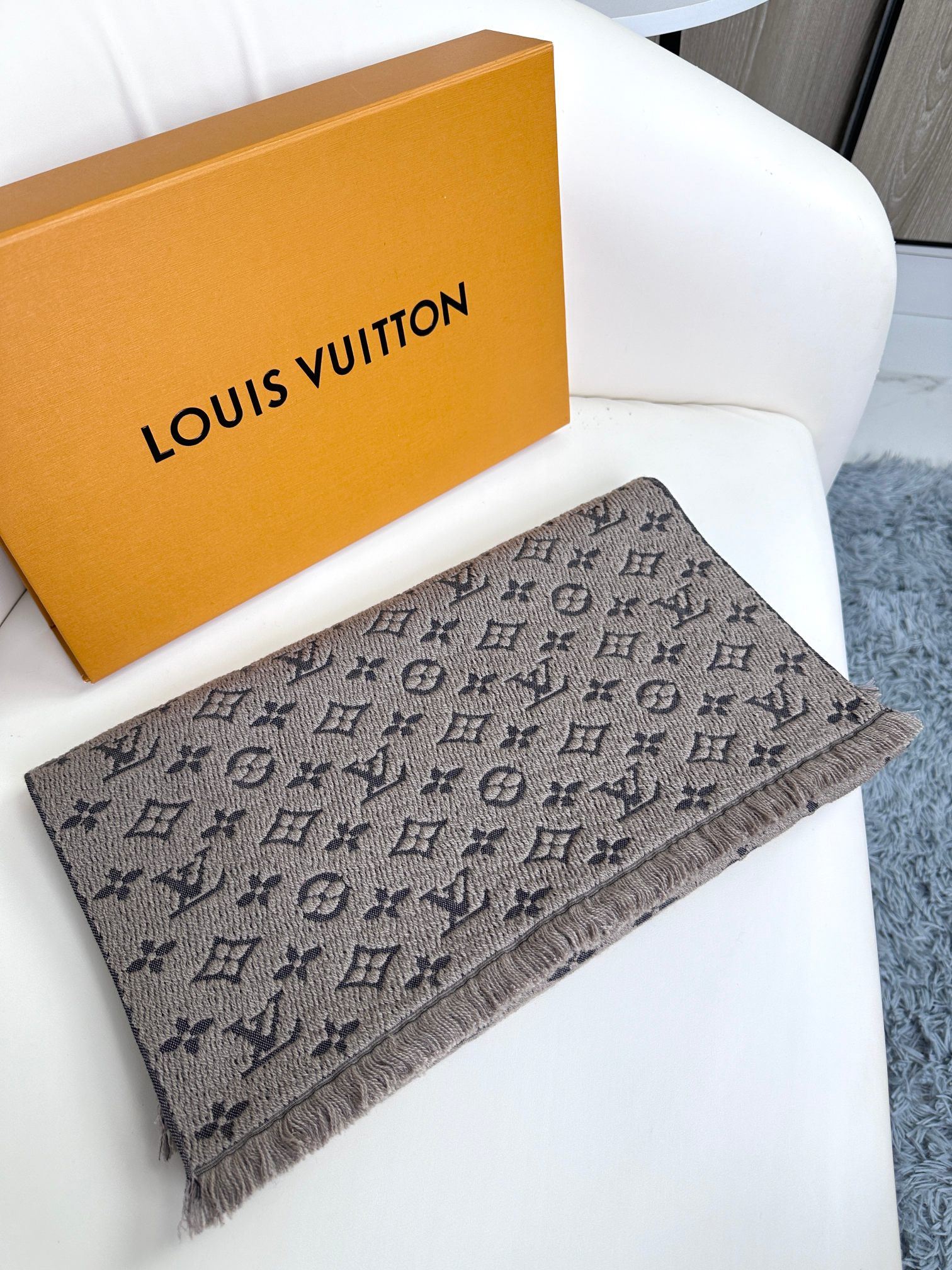 Louis Vuitton Scarf